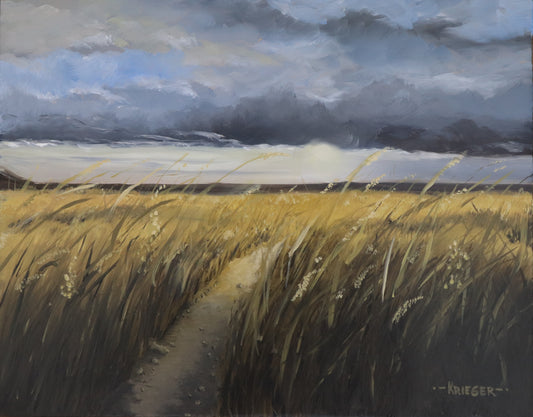 Golden Fields